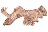 Natural, Native Copper Formation - Michigan #305845-1
